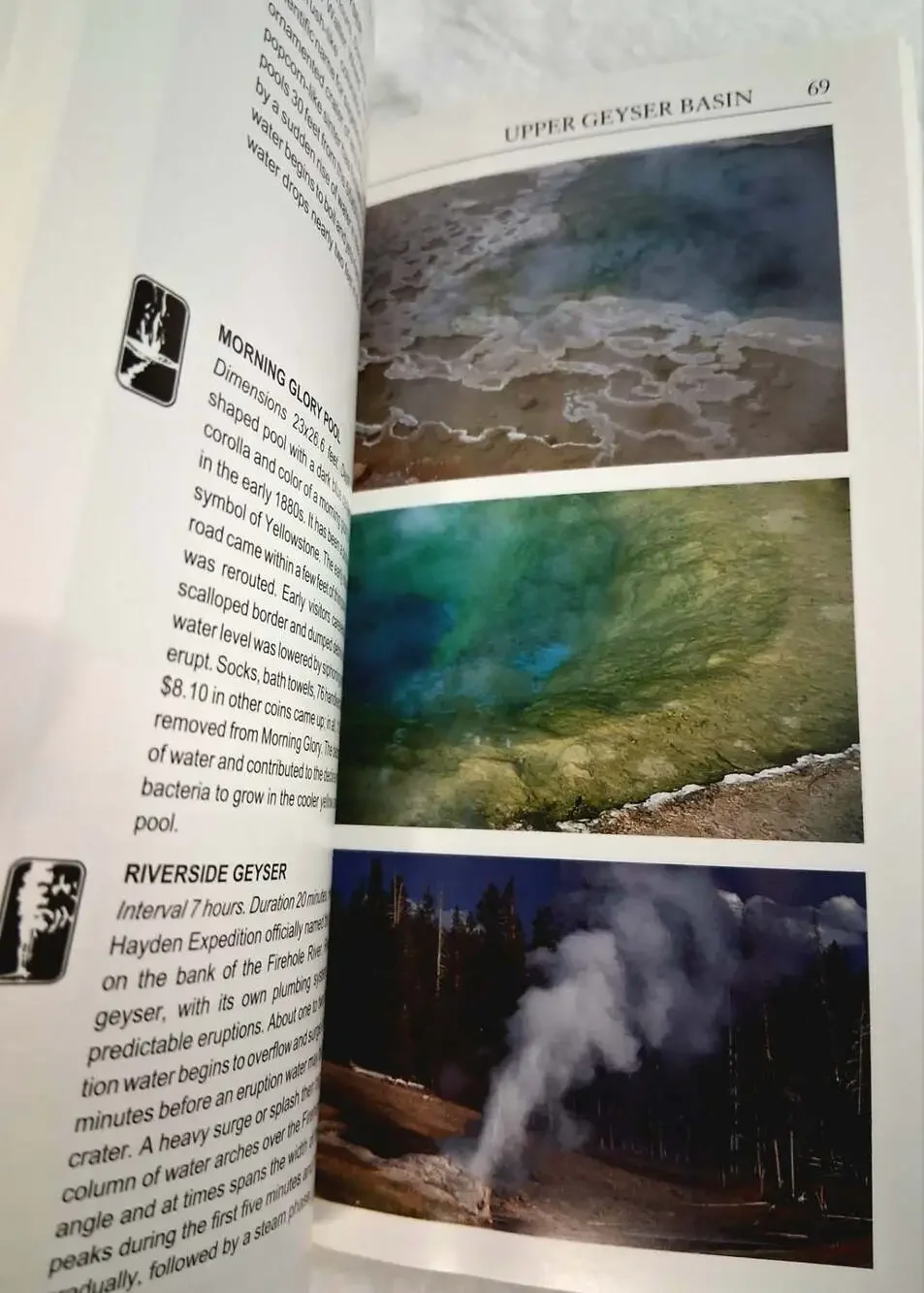 Homestead Publishing field guide